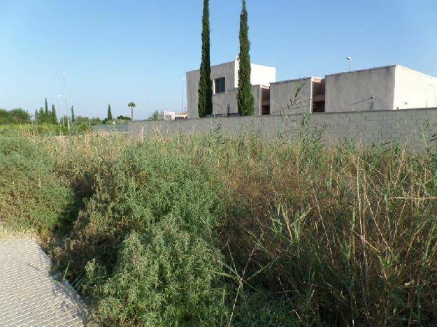 Terreno urbano en Callosa de Segura zona Monsina, 300 m. superficie parcela.