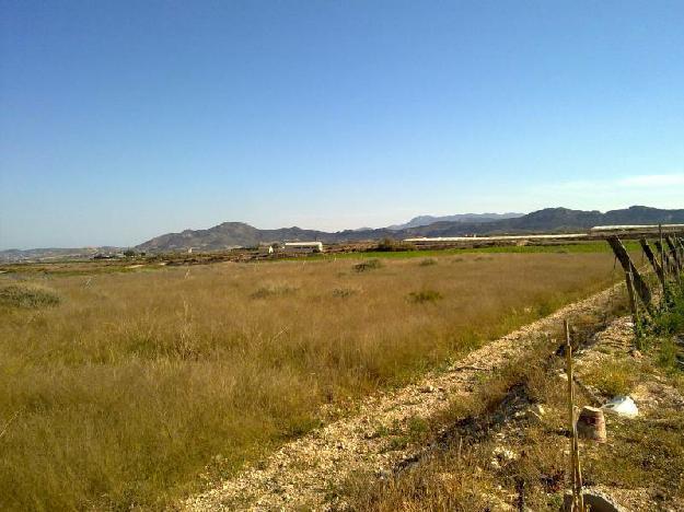 Inmobiliaria San Jose vende parcela en Novelda, Costa Blanca, Alicante