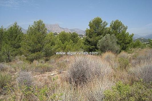 Terreno y Solares En Venta en La Nucia, Alicante
