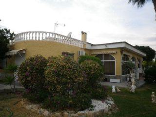 Finca/Casa Rural en alquiler en Altet (El), Alicante (Costa Blanca)