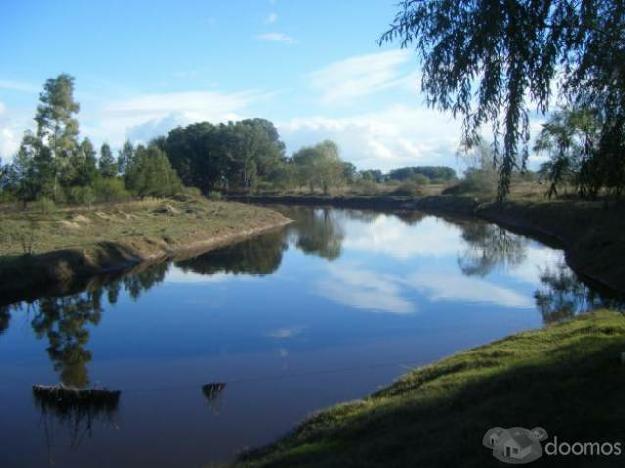 Terrenos en Buenos Aires