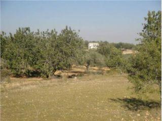 Terreno/Finca Rstica en venta en Càlig, Castellón (Costa Azahar)