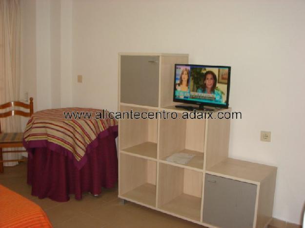 Estudio en Alquiler en Alicante (ALICANTE) 280 euros