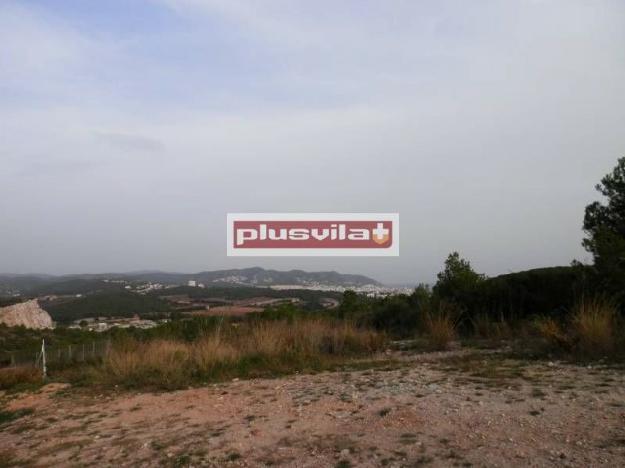 Vistas panorámicas a la bahía de Sitges y a los viñedos