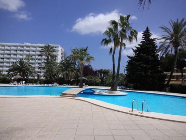 Alquiler por semanas, estudio Siesta2, terraza soleada, piscina, Puerto Alcudia
