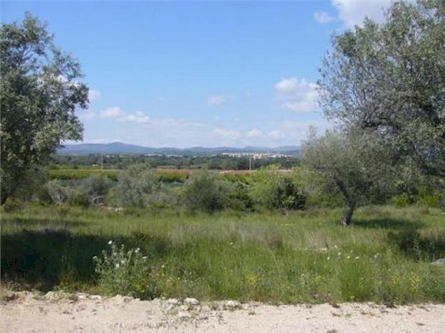 Terreno/Finca Rstica en venta en ,  (Costa Azahar) - Ref. 1121564