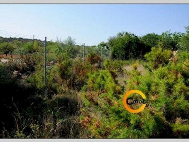 Terreno/Finca Rstica en venta en ,  (Costa Azahar) - Ref. 2667174