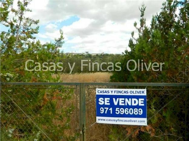Terreno/Finca Rstica en venta en , Mallorca (Balearic Islands) - Ref. 2672083