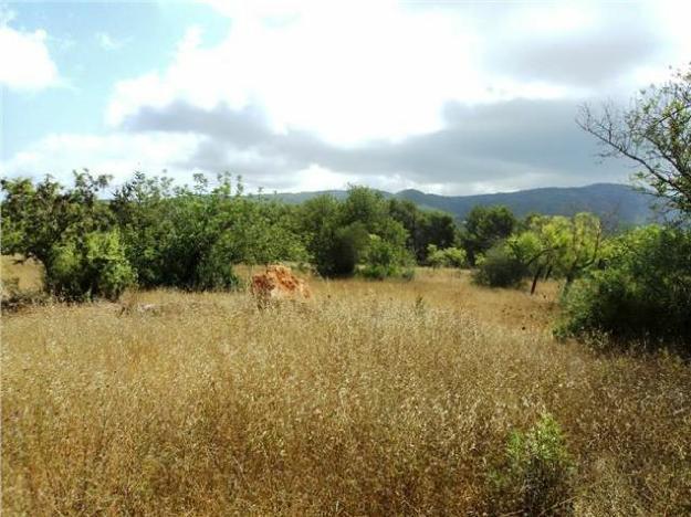 Terreno/Finca Rstica en venta en , Ibiza (Balearic Islands) - Ref. 1848640